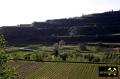 Der Kaiserstuhl in Baden-Württemberg, (D) (44) 10. Mai 2015 Blick ins Krottenbachtal.JPG